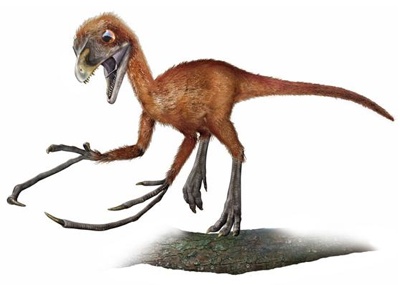 epidendrosaurus800pn0-tm.jpg
