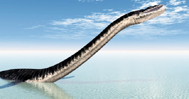 10 Sensational Sea Serpent Sightings Listverse