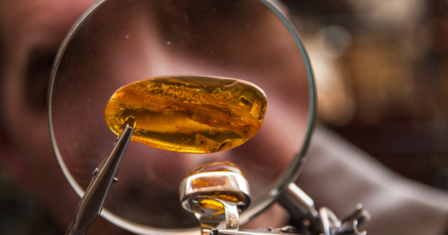 10 Amazing Ancient Discoveries Preserved In Amber - Listverse