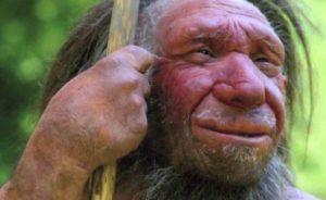 neanderthal