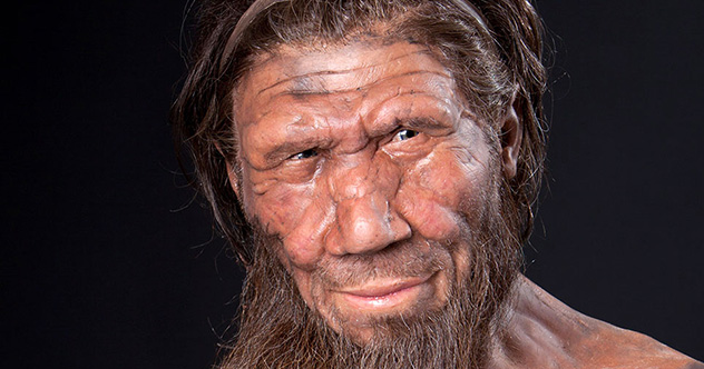 Top 10 Fascinating Facts About Neanderthals