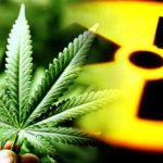 10 Bizarre Times Marijuana Showed Up In History