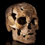 Top 10 Ancient Skulls Revealing Rare Facts And Mysteries