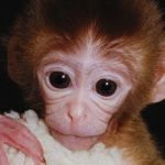 10 Oddities Of Reproductive Science