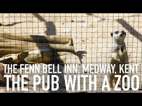 The Fenn Bell Inn - The Pub with a Zoo