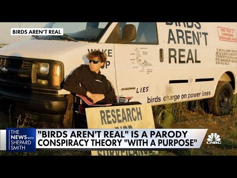 Parody conspiracy theorists swear birds aren&#039;t real