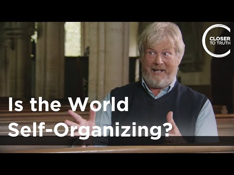 Christopher Knight - Is the World Self-Organizing?