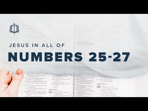 THE SECOND CENSUS | Bible Study | Numbers 25-27