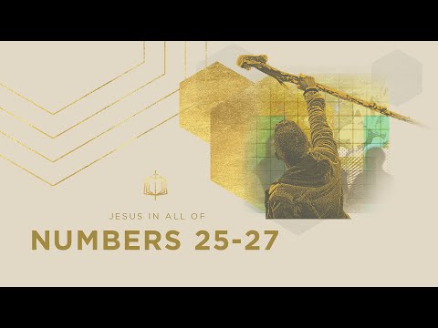 Numbers 25-27 | The Second Census | Bible Study