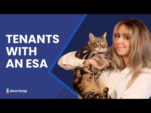 A Landlords Guide to Having a Tenant with an Emotional Support Animal