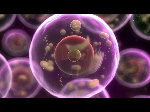 How DNA Origami works | #Nanoscience