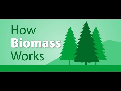 How Biomass works