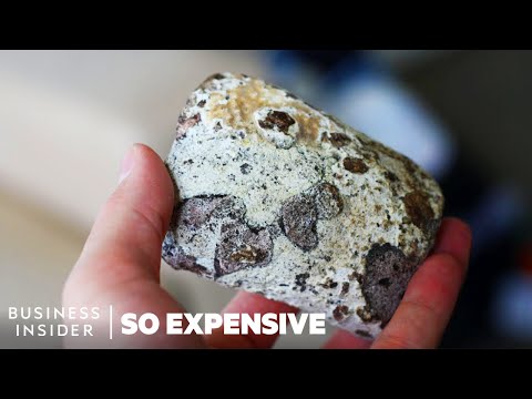 Why Whale Poop Is So Expensive | So Expensive