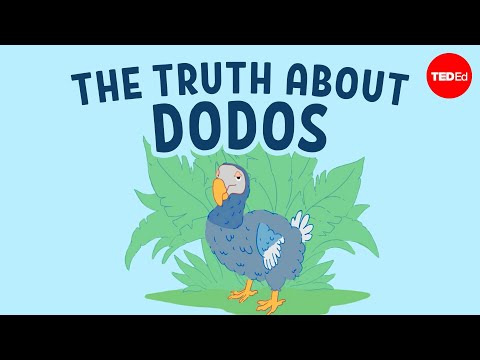 The real reason dodo birds went extinct - Leon Claessens