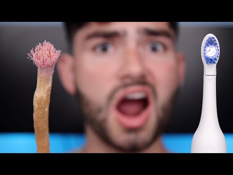 7,000 Year Old Toothbrush vs Future Toothbrush !!