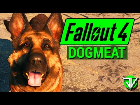 FALLOUT 4: Dogmeat COMPANION Guide! (Everything You Need to Know About Dogmeat)