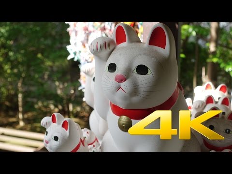 Gotokuji Temple / Maneki Neko - Tokyo - 豪徳寺 - 4K Ultra HD