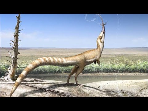 Top 10 Surprising Dinosaur Facts - 94