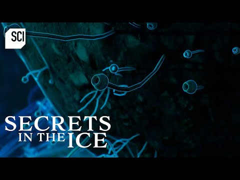 What Antarctic Experts Found Beneath 4,600ft of Ice | Secrets In The Ice | Science Channel