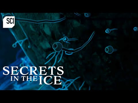What Antarctic Experts Found Beneath 4,600ft of Ice | Secrets In The Ice | Science Channel