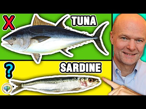 Top 5 Best Fish You Should NEVER Eat &amp; 5 Fish You Must Eat