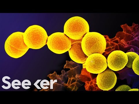 Top 10 Scientific Facts They Don t Teach in School - 68