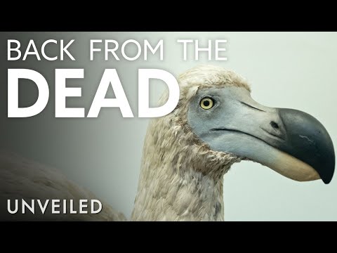 Return of the Dodo | How Science Is Bringing Ancient Animals Back To Life | Unveiled