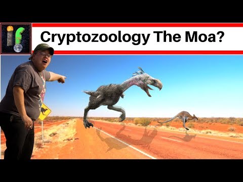 Cryptozoology The Moa and De-extinction!