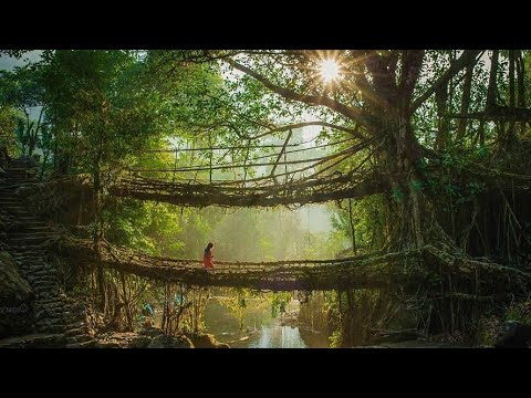 10 Unusual Bridges from Around the World You Need to Visit - 19