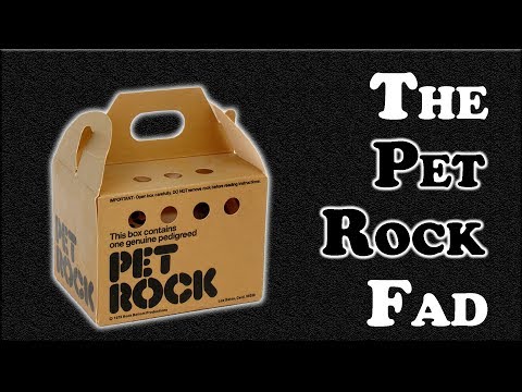 The Pet Rock Fad - As Crazy as It Sounds?