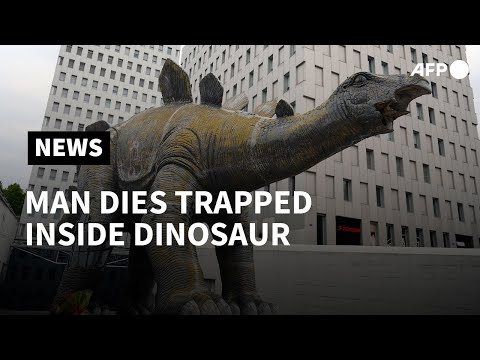 Man dies trapped inside a dinosaur statue in Spain | AFP