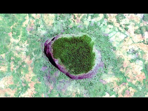 10 Mystifying Rainforest Mysteries That Baffle Scientists - 12