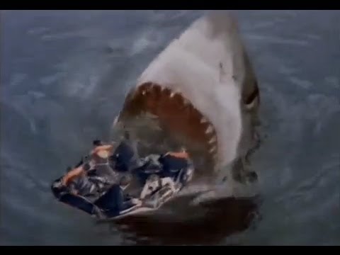 Top 10 Best And Worst Shark Films - 70