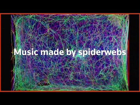 Listen to music made by spiderwebs