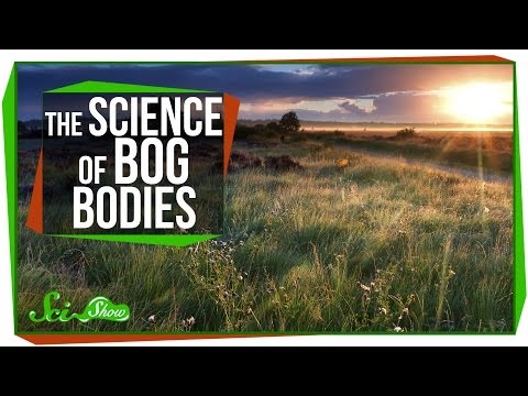Chemistry &amp; Corpses: The Science of Bog Bodies
