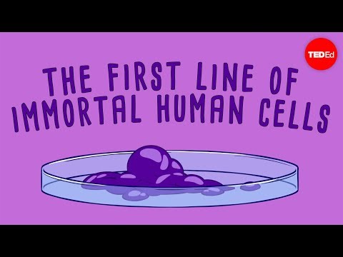 10 Amazing Facts About The Immortal Cells Of Henrietta Lacks - 58