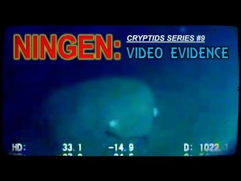 NINGEN: video evidence