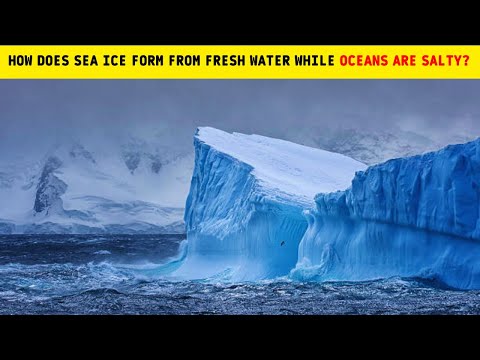 How does sea ice form from fresh water while oceans are salty?