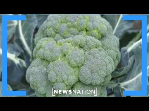 Why you shouldn&#039;t eat too much broccoli or kale | NewsNation Special Coverage