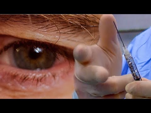 Can a Virus Cure Blindness? | Earth Science