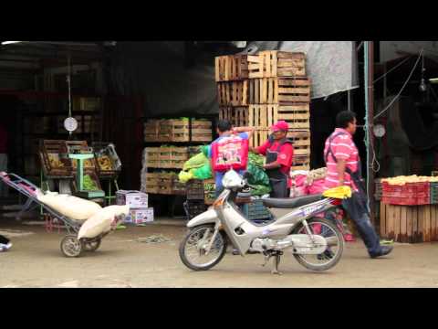 Food speculation fuels Mexico&#039;s tortilla crisis