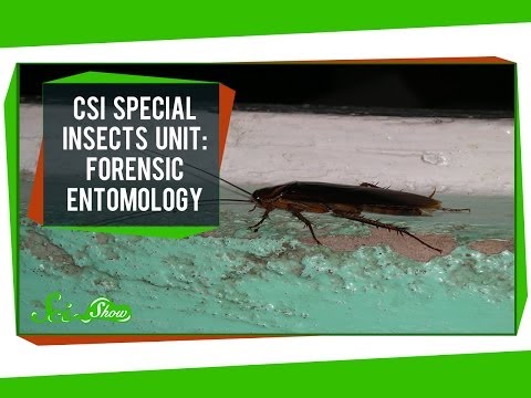 CSI Special Insects Unit: Forensic Entomology