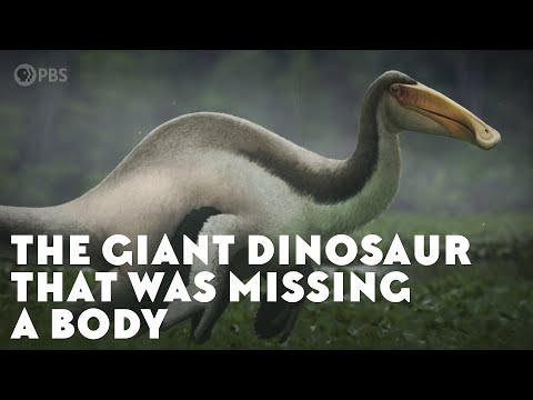 The Giant Dinosaur That Was Missing a Body