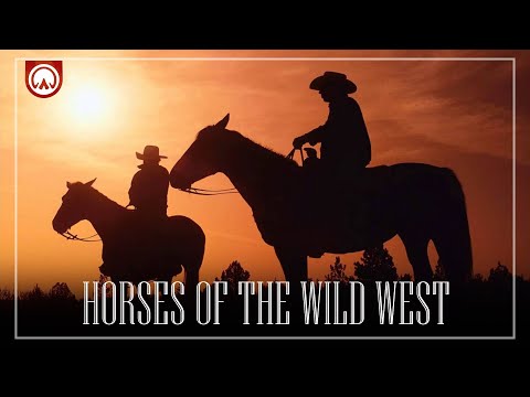 How Horses Changed America | Wild West Documentary Short