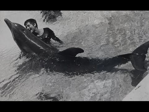 Dealing with a dolphin&#039;s &#039;urges&#039; - The Girl Who Talked to Dolphins: Preview - BBC Four