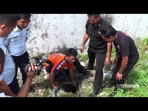 Bali Escape | 9 News Perth