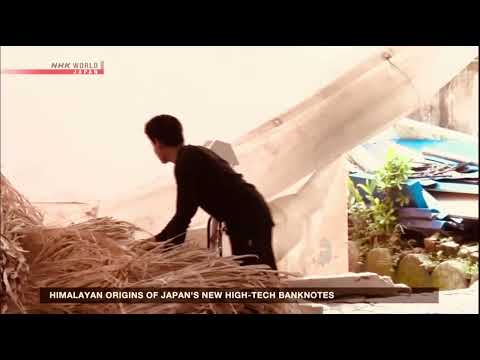 Japanese bank notes made with raw materials from Nepal