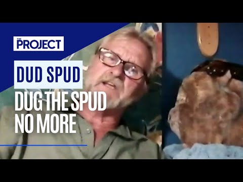 Dug The Spud Took The Internet By Storm, Until This Week When The Spud Missing Out On A Record