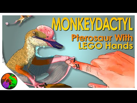 Monkeydactyl – New Pterosaur Described with Opposable ‘Thumbs’