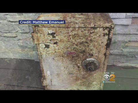 Couple Stumbles Across Valuable &#039;Treasure&#039; On Their Staten Island Property